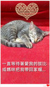點選圖片可放大