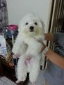 點選圖片可放大