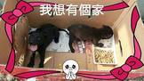 點選圖片可放大