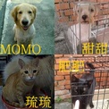 點選圖片可放大