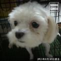 點選圖片可放大