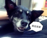 點選圖片可放大