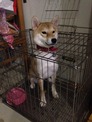 點選圖片可放大