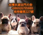 點選圖片可放大
