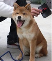 點選圖片可放大