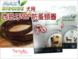 點選圖片可放大