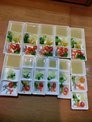 點選圖片可放大