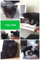 點選圖片可放大
