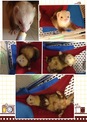點選圖片可放大