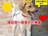 點選圖片可放大