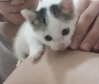 點選圖片可放大