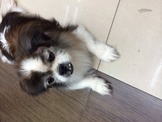 點選圖片可放大