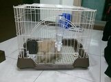 點選圖片可放大