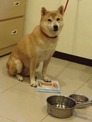 點選圖片可放大