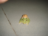 點選圖片可放大