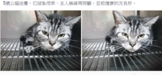 點選圖片可放大