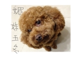 點選圖片可放大