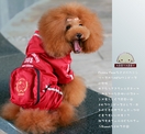 點選圖片可放大