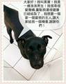 點選圖片可放大
