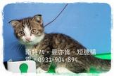 點選圖片可放大