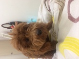 點選圖片可放大