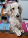 點選圖片可放大