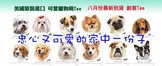 點選圖片可放大