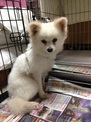 點選圖片可放大