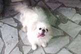 點選圖片可放大