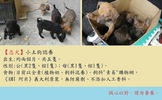 點選圖片可放大