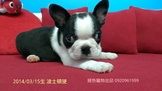點選圖片可放大