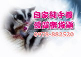 點選圖片可放大