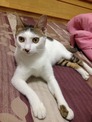 點選圖片可放大