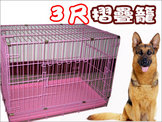點選圖片可放大