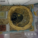 點選圖片可放大