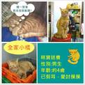 點選圖片可放大