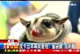 點選圖片可放大