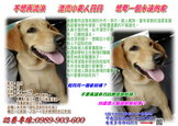 點選圖片可放大