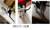 點選圖片可放大