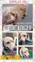 點選圖片可放大