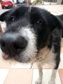 點選圖片可放大