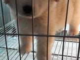 點選圖片可放大