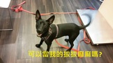 點選圖片可放大