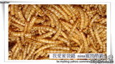 點選圖片可放大