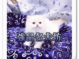 點選圖片可放大