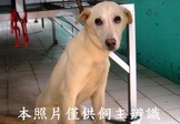 點選圖片可放大