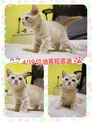 點選圖片可放大