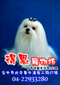點選圖片可放大