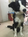 點選圖片可放大