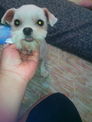 點選圖片可放大